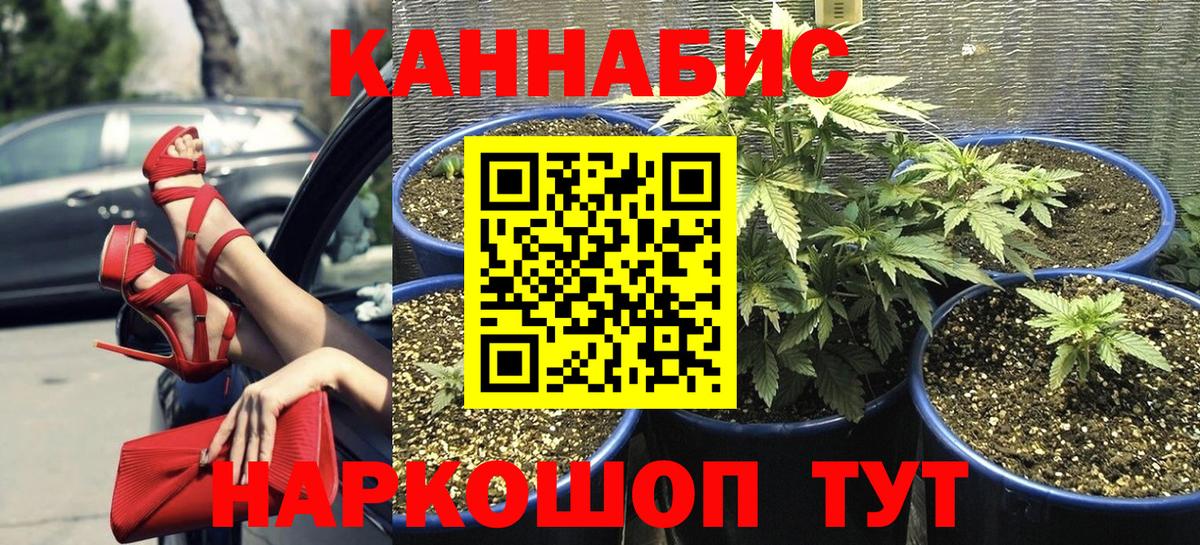 Рославль  Конопля семена  Вход с VPN  Конопля VHQ 